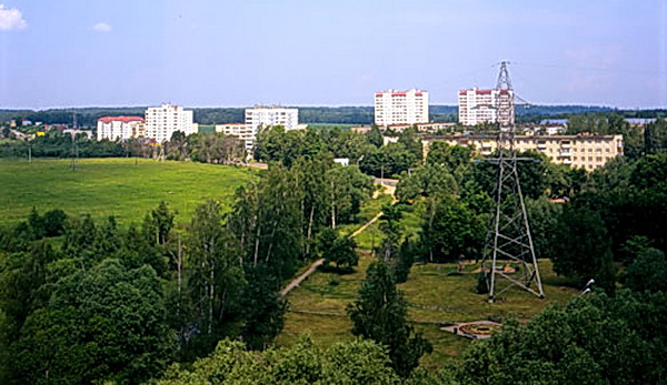 Город лобня шалавы